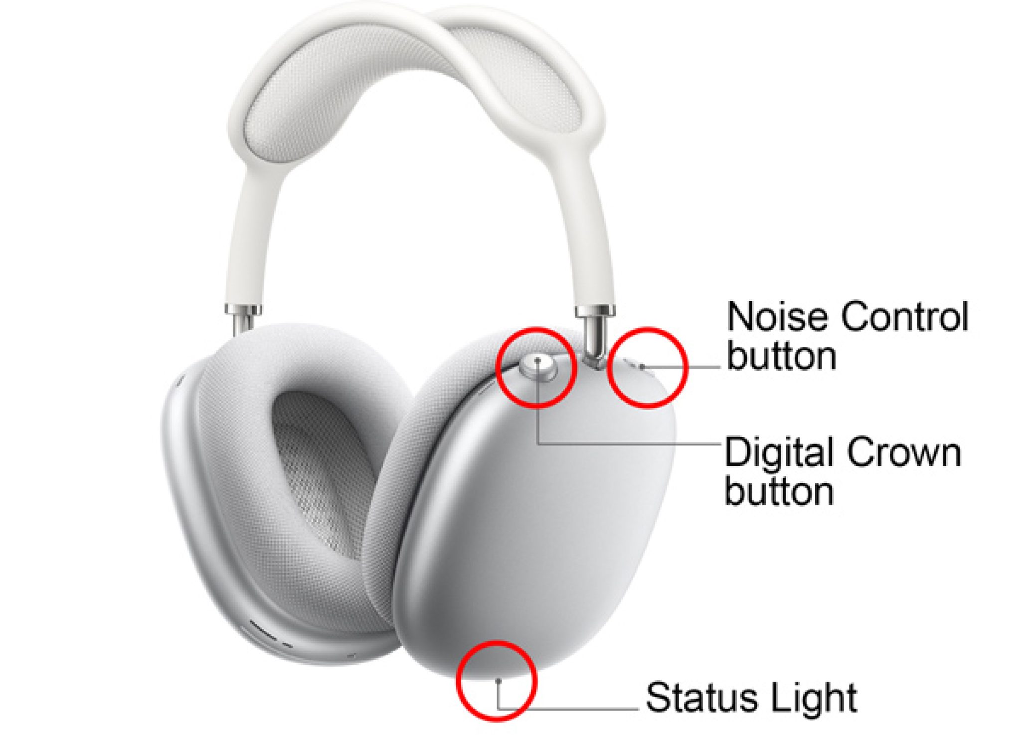 How to Reset AirPods Guide for All Models [AirPods Pro, AirPods Max]